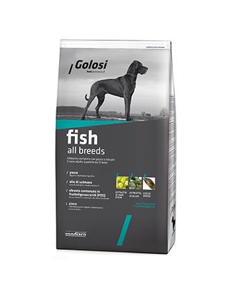 Golosi Dog Fish