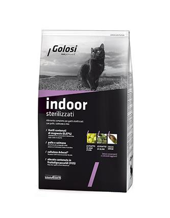 Golosi Cat Indoor