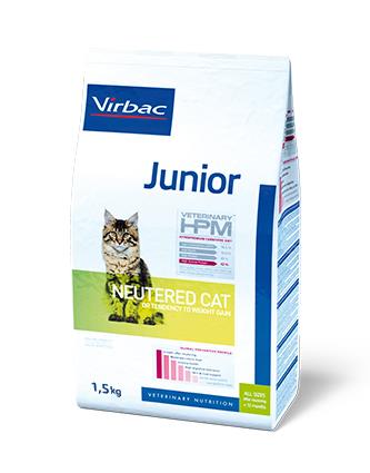 Junior Neutered Cat